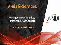 Logo de A-nia Eservices accompagnement Numérique, Informatique et Administratif
